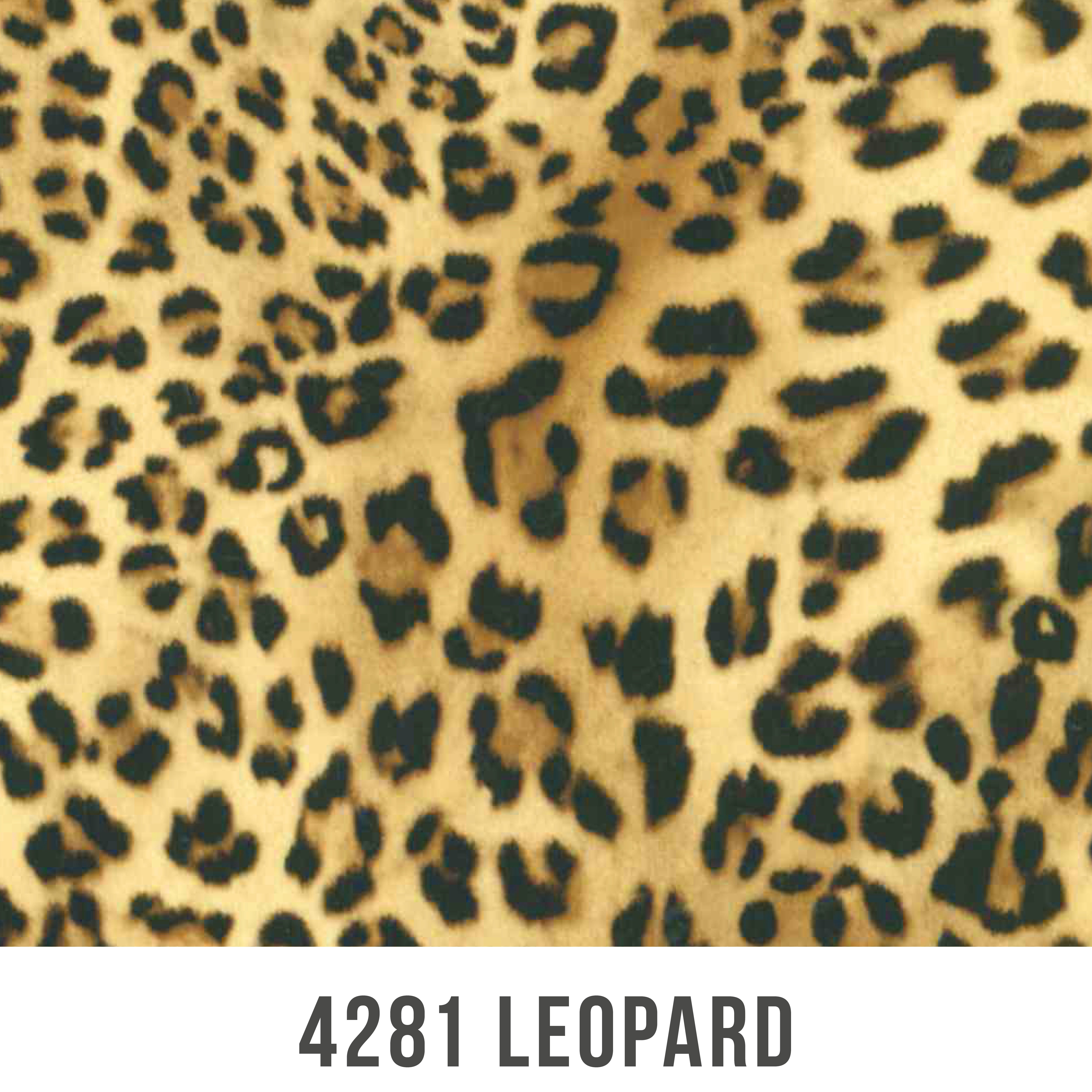 POLI-FLEX IMAGE 4281 LEOPARD - CRAFT BOX 305 X 610 – Maizey Craft