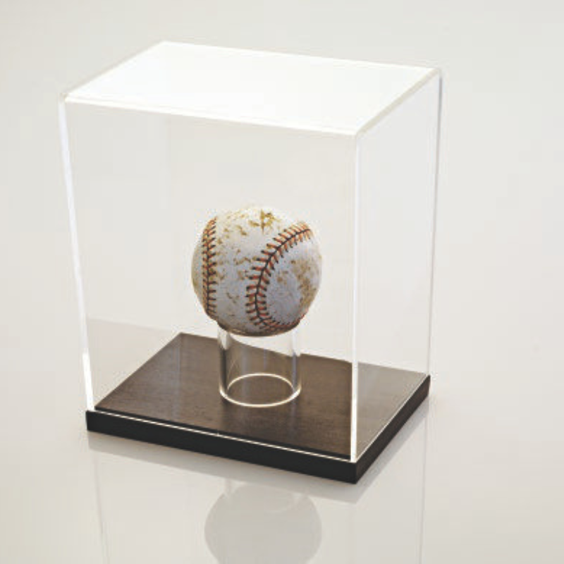 ADHESIVE ACRIFIX 116 -100gr