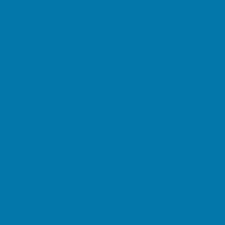 POLIFLEX TUBITHERM 301 NEON BLUE (D)